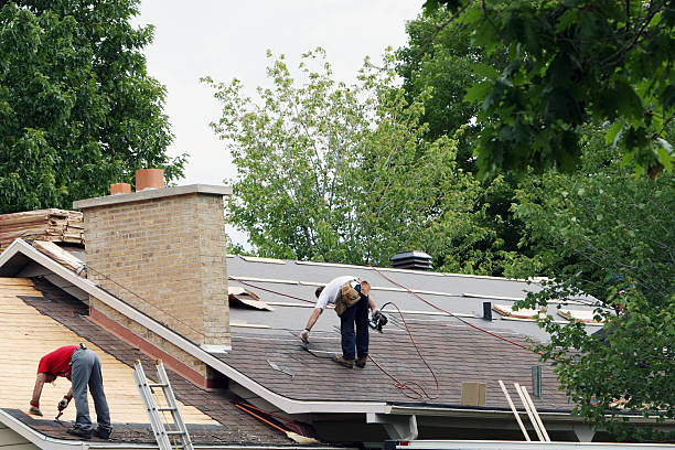 Quick and Trustworthy Emergency Roof Repair Services in Lake Arbor, MD
